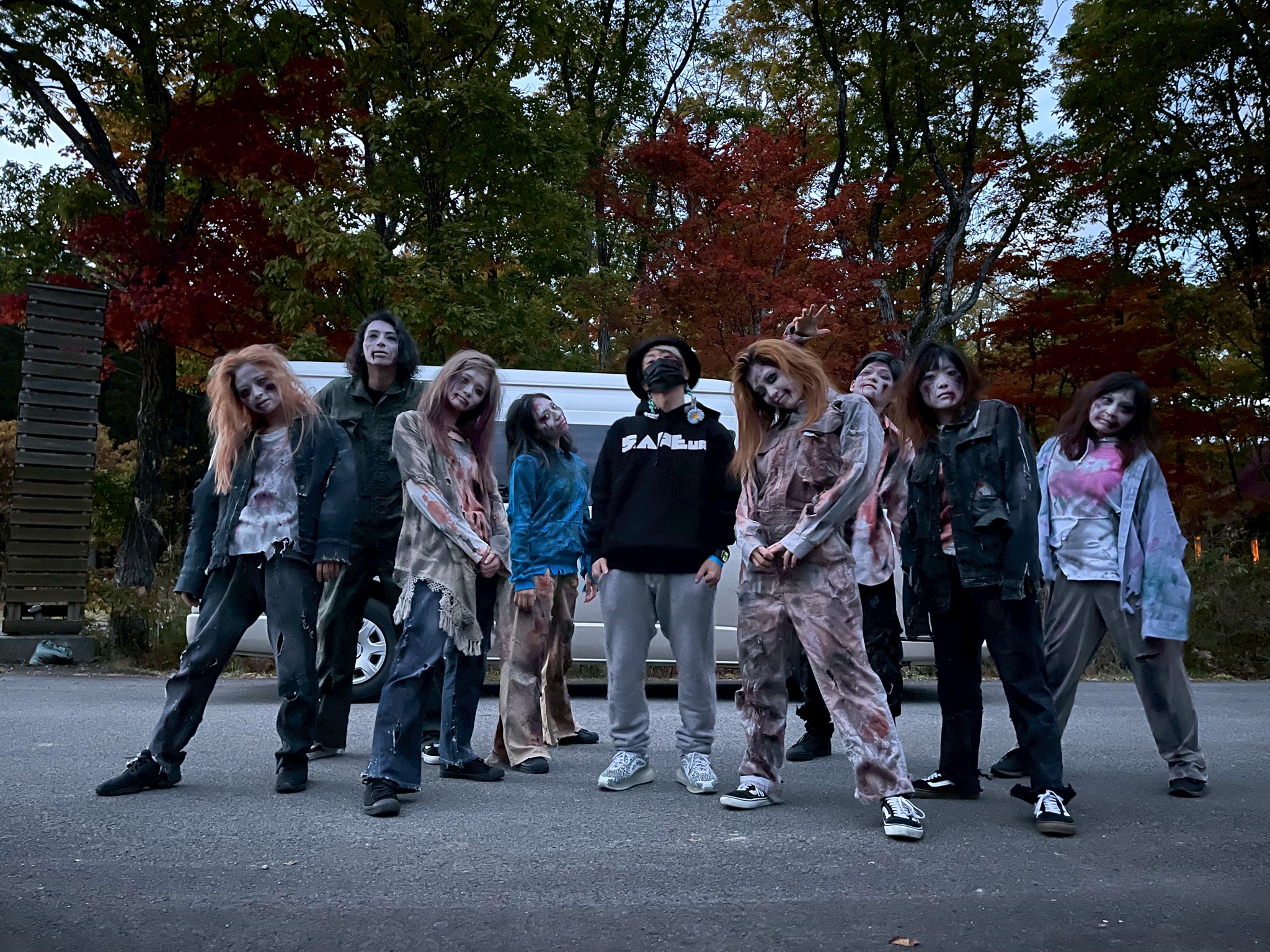 THEME PARK PERFORMANCE